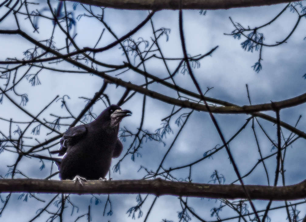 � ��? ���� ������ ���������! ����� ������ ���������� �� PhotoGeek.ru #�������� ��� #����� ��� ��� ���������