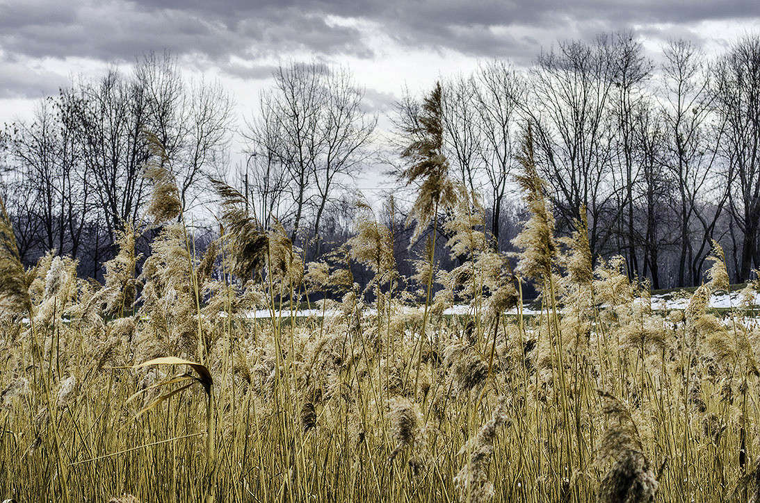 ������� ���� ��� ������. ����� ������ ���������� �� PhotoGeek.ru #������ ��� ������� #���������