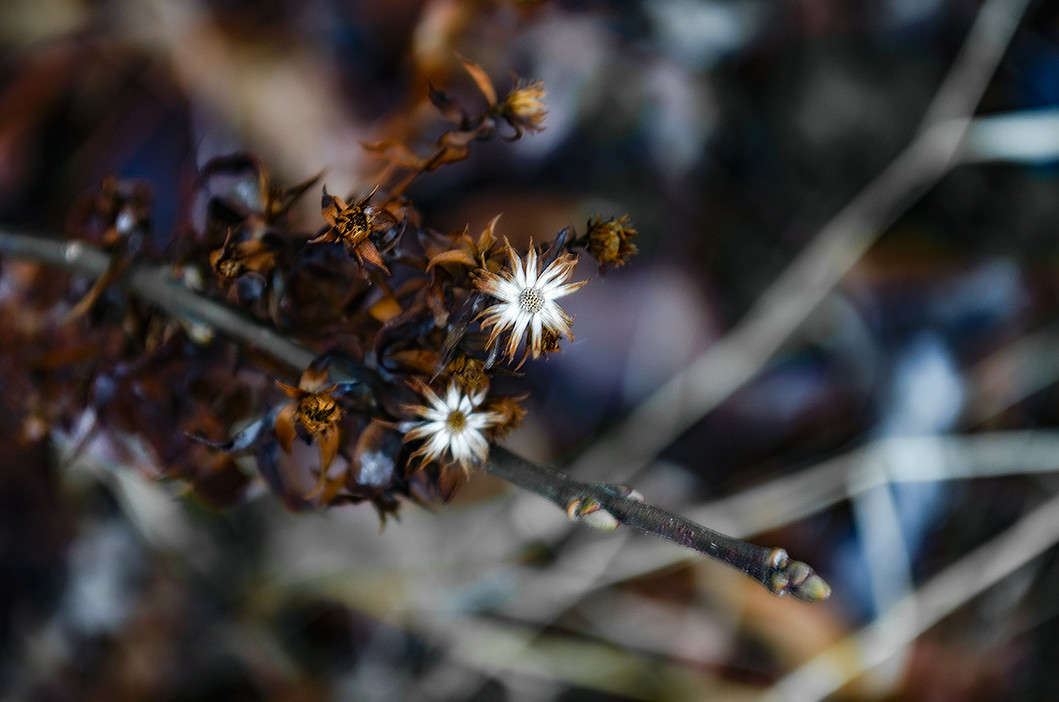 ��������� ����� ������ ���������� �� PhotoGeek.ru #������ ��� ������� #���������