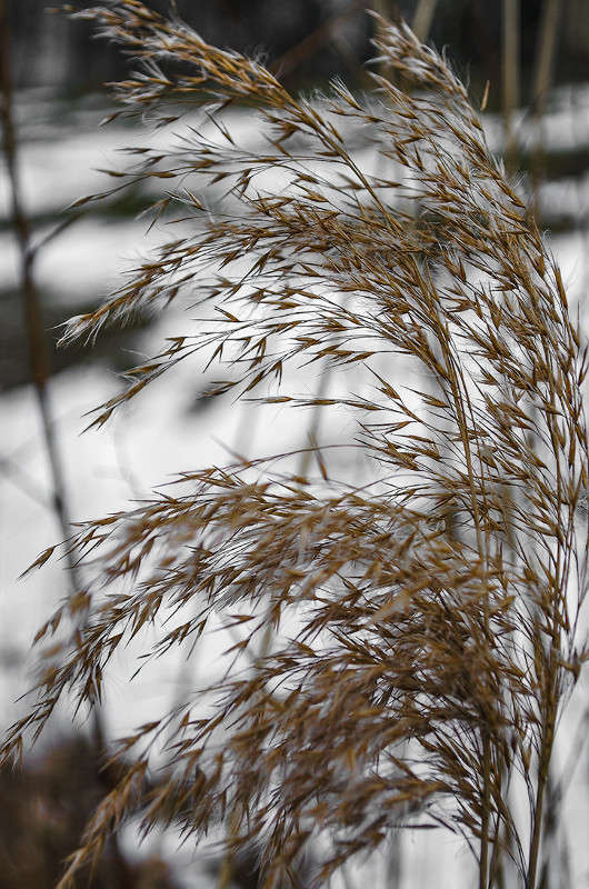 ������� ����� ������ ���������� �� PhotoGeek.ru #������ ��� ������� #���������