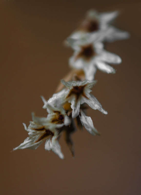 ������� ����� ������ ���������� �� PhotoGeek.ru #�����