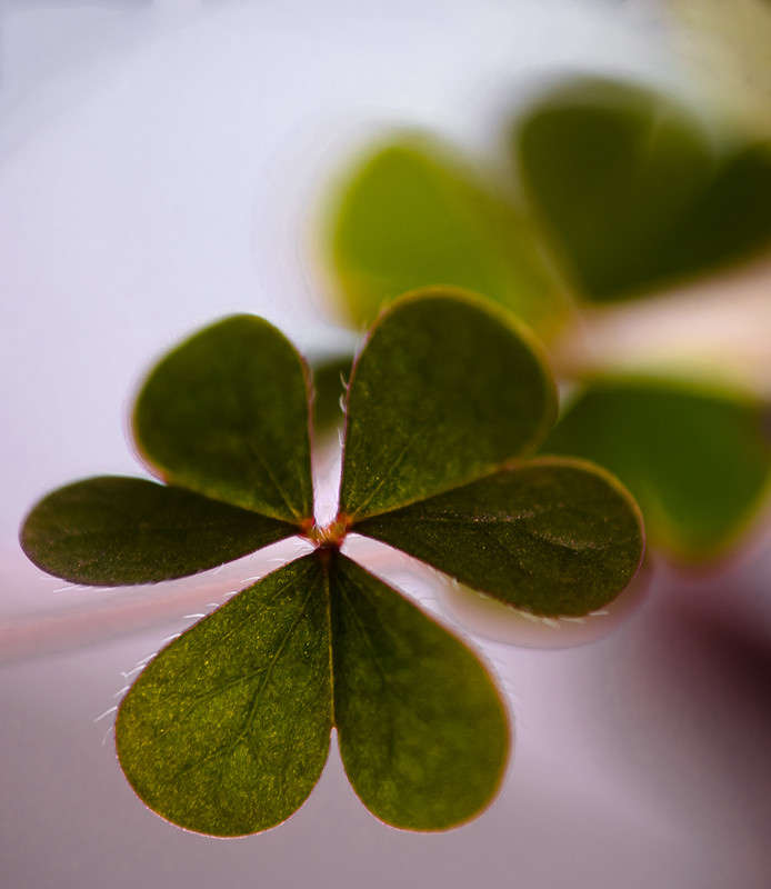 �������� �� �������� ����� ������ ���������� �� PhotoGeek.ru #�����