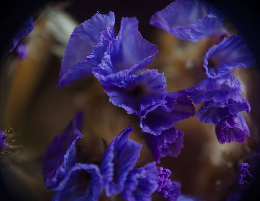 ������� ����� ������ ���������� �� PhotoGeek.ru #�����