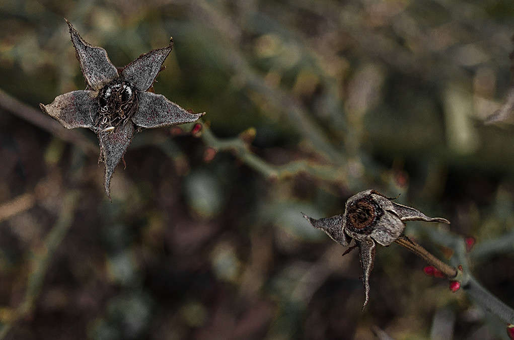 ��� ������, ��� ������� �������..... ����� ������ ���������� �� PhotoGeek.ru #������ ��� ������� #���������