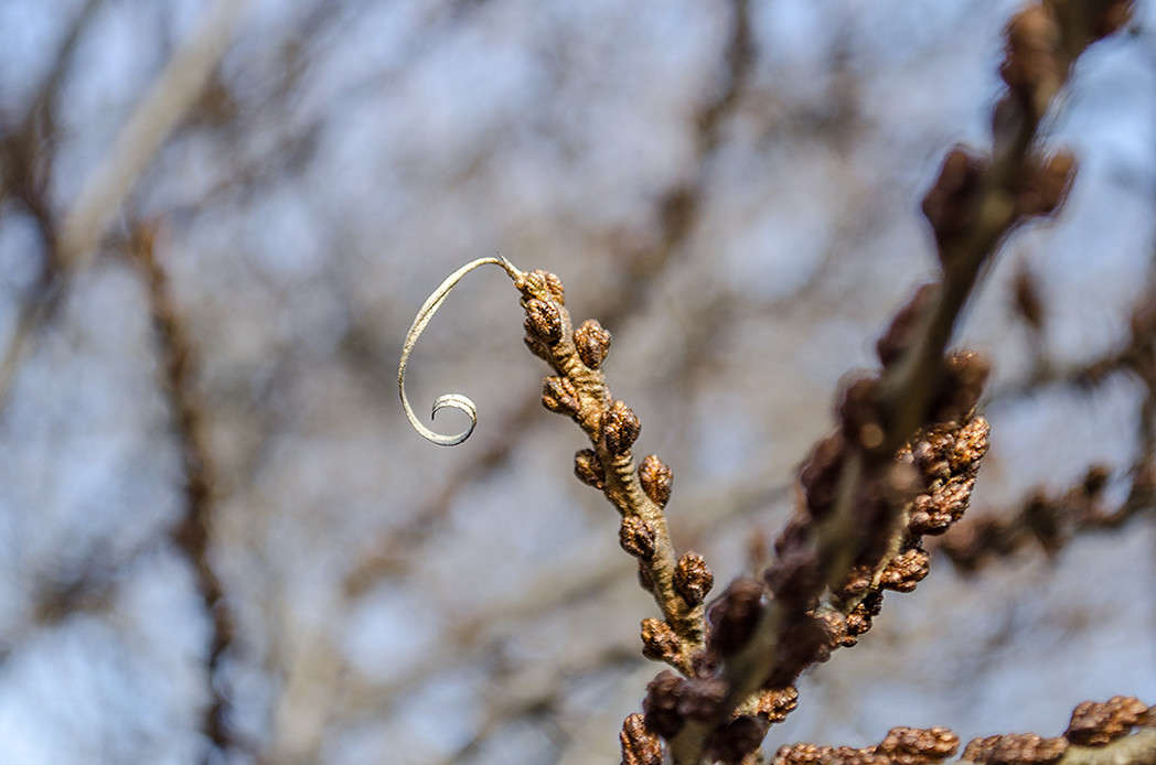 ���� ������ ���� ������ ����� ������ ���������� �� PhotoGeek.ru #������ ��� ������� #���������