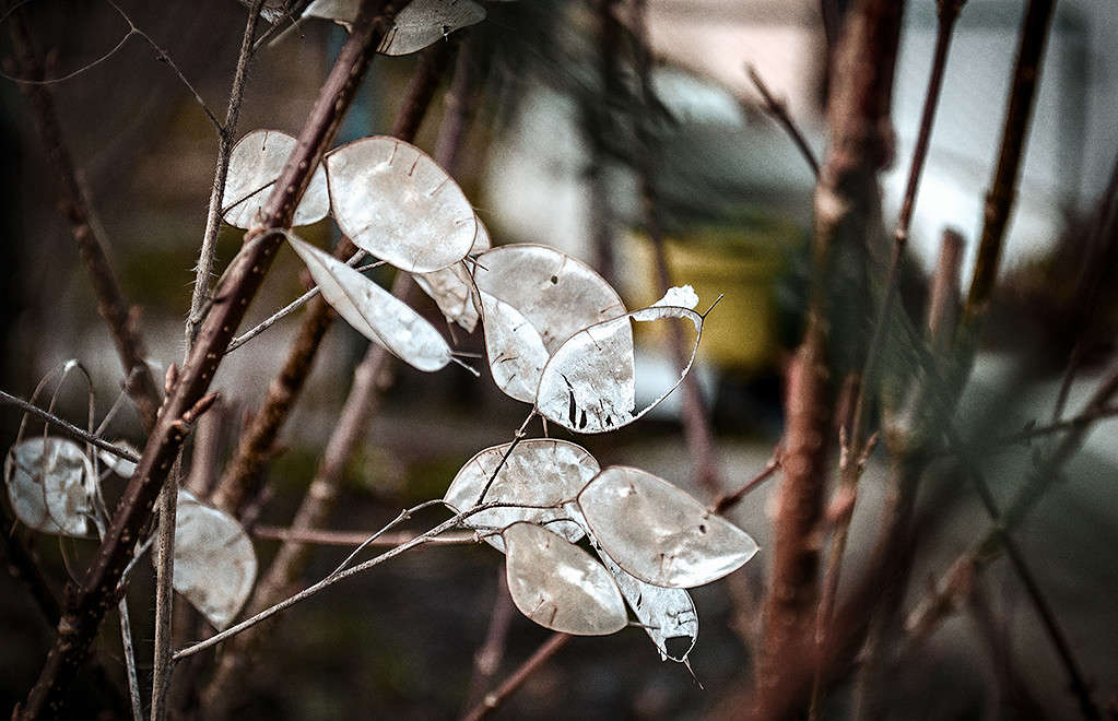 ��� ��������� ����� ������ ���������� �� PhotoGeek.ru #������ ��� ������� #���������