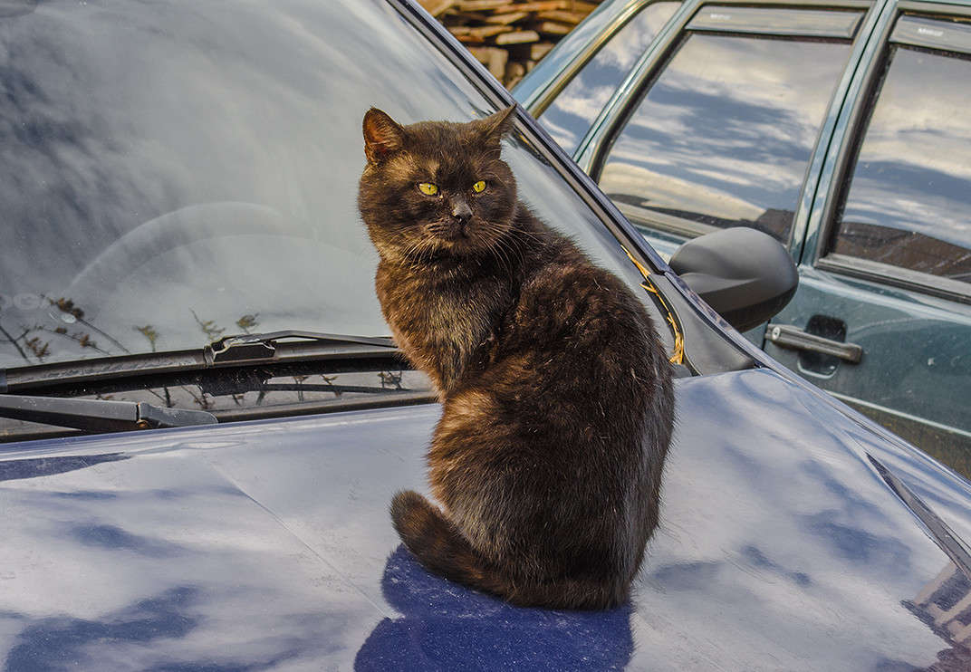 ... ����� ������ ���������� �� PhotoGeek.ru #�������� ��� #�������� ���