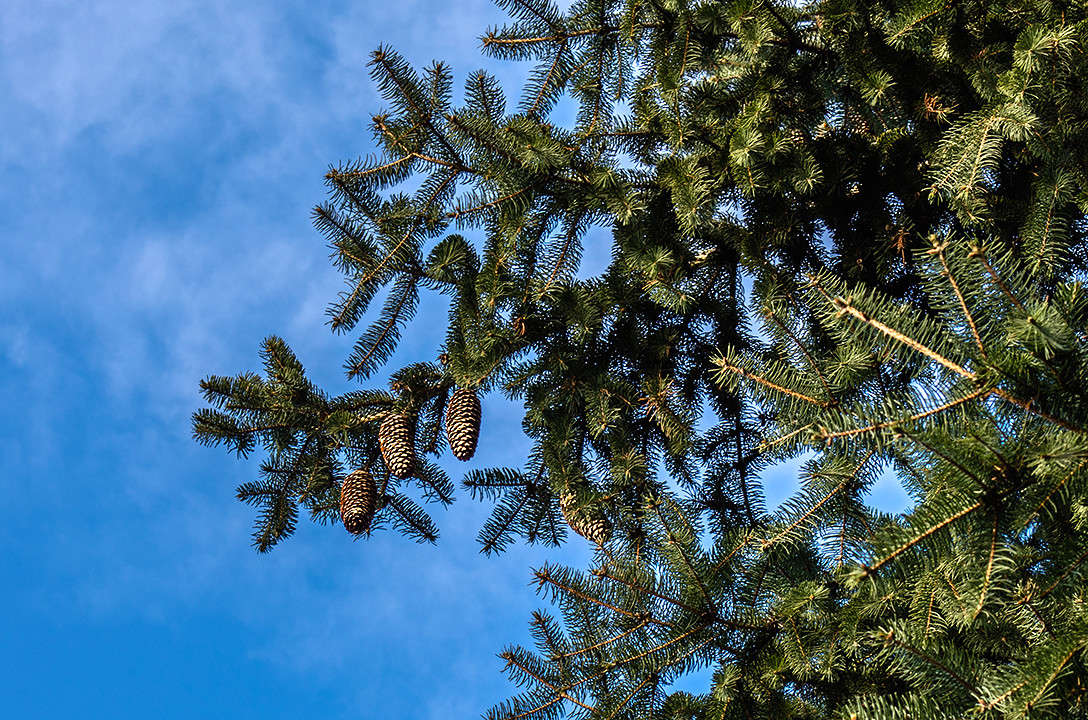 ... ����� ������ ���������� �� PhotoGeek.ru #������ ��� ������� #���������