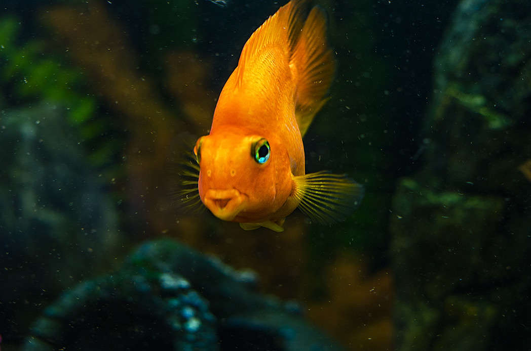 ����� ��� ��� �������...... ����� ������ ���������� �� PhotoGeek.ru #�������� ��� #����� ��� ��� ���������