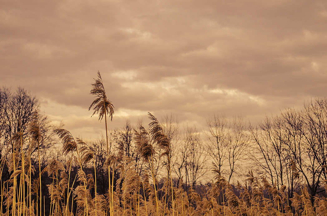 ��������� ����� ������ ���������� �� PhotoGeek.ru #������ ��� ������� #���������