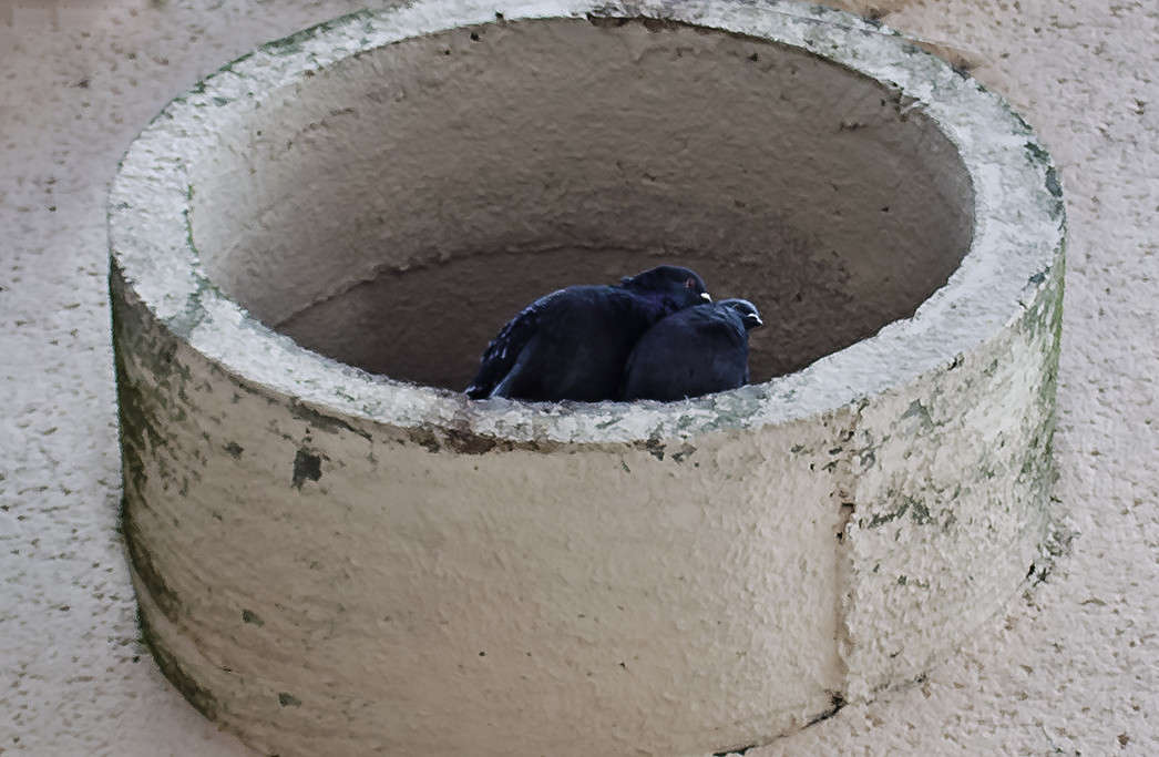 ������.... ����� ������ ���������� �� PhotoGeek.ru #�������� ��� #����� ��� ��� ���������