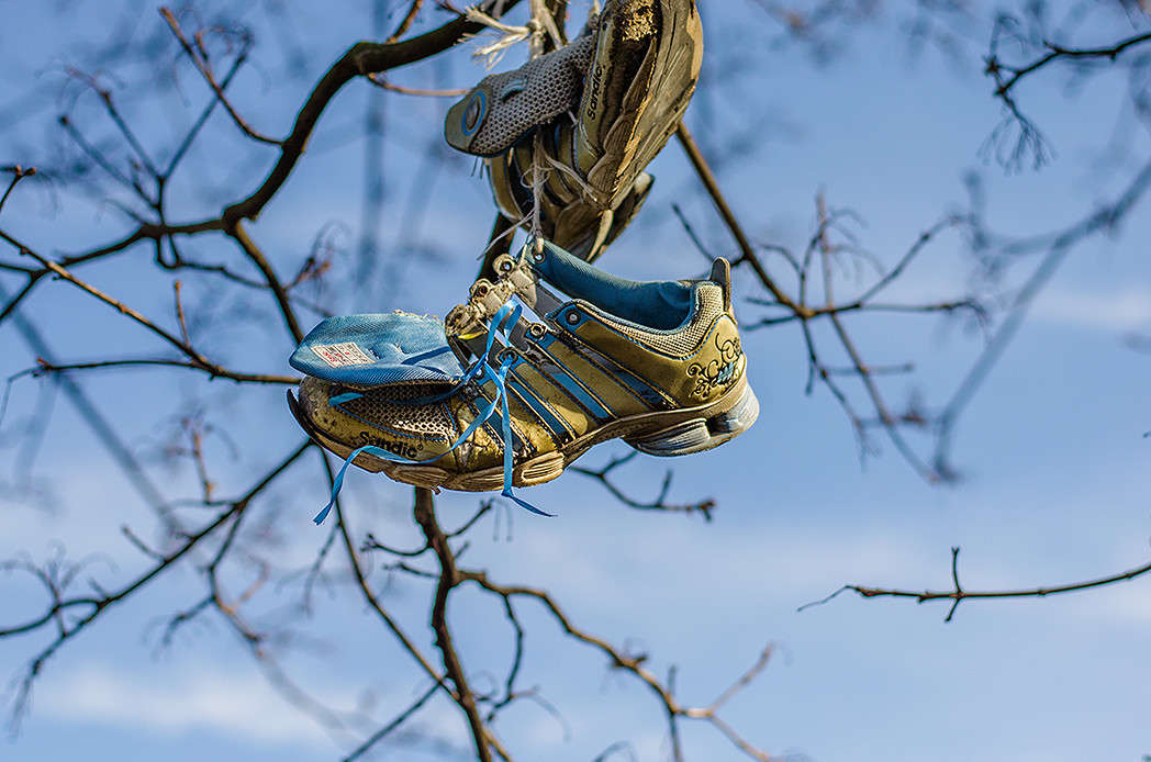 )))))))) ����� ������ ���������� �� PhotoGeek.ru #��������� #���-�����������