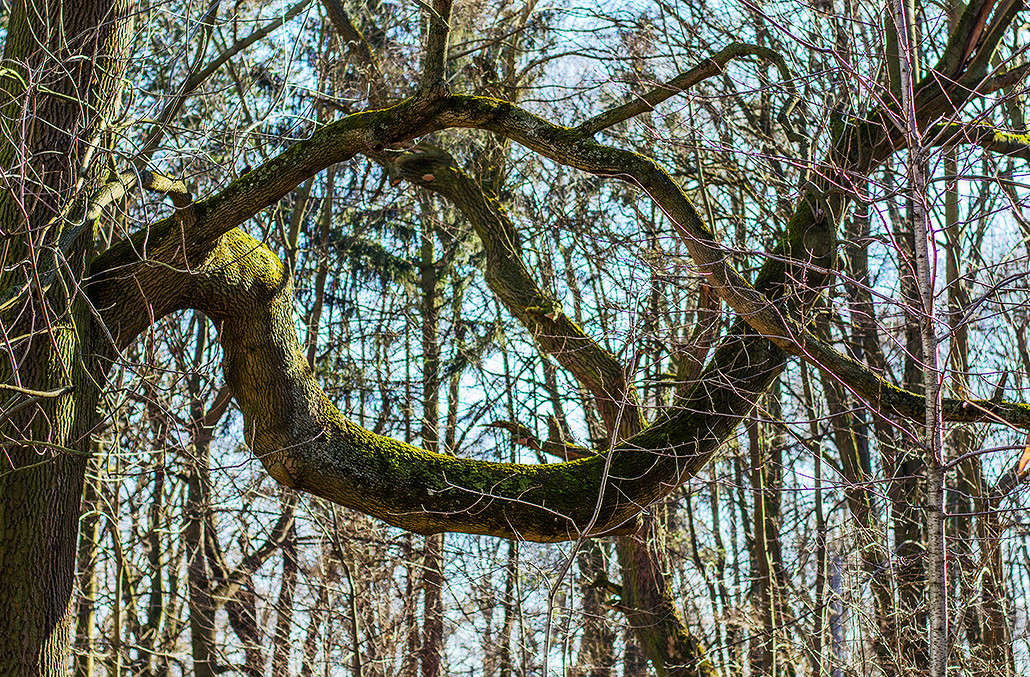 �����. ���� �.������������ ����� ������ ���������� �� PhotoGeek.ru #������ ��� ������� #���������