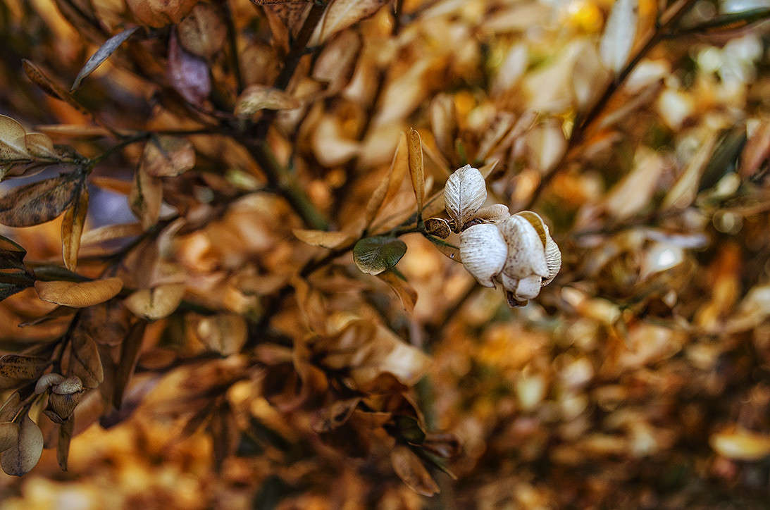 ����� ������ ����� ������ ���������� �� PhotoGeek.ru #������ ��� ������� #���������