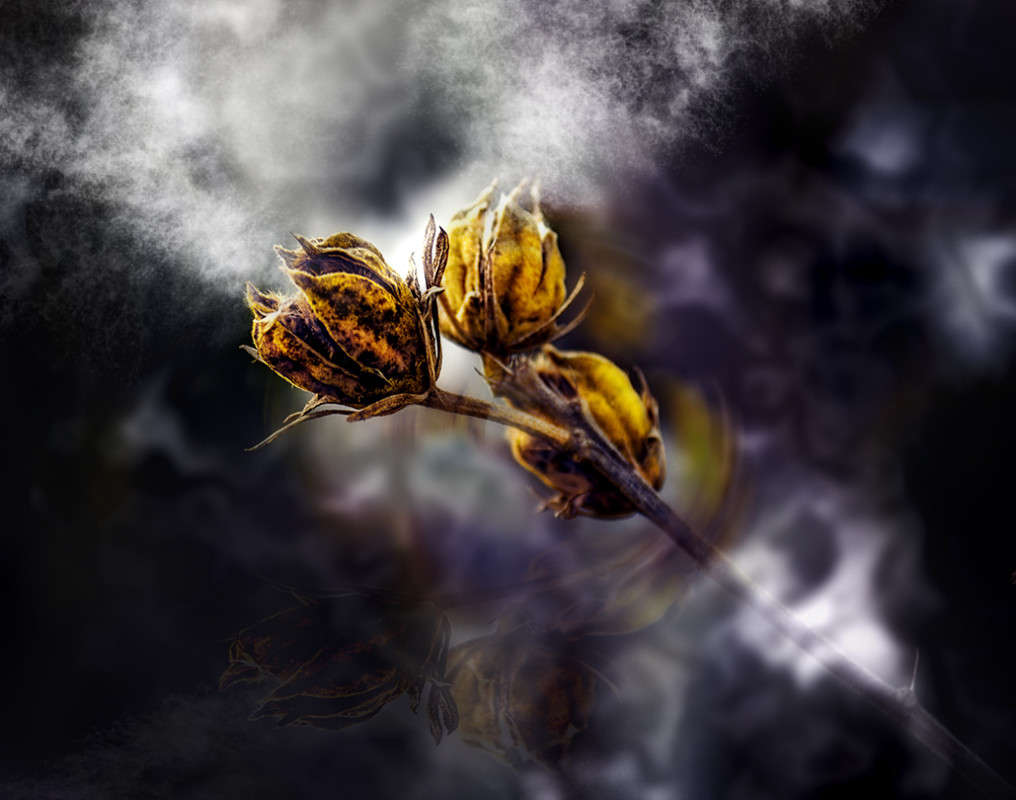 ����� � ���������� ����� ������ ���������� �� PhotoGeek.ru #������ ��� ������� #���������