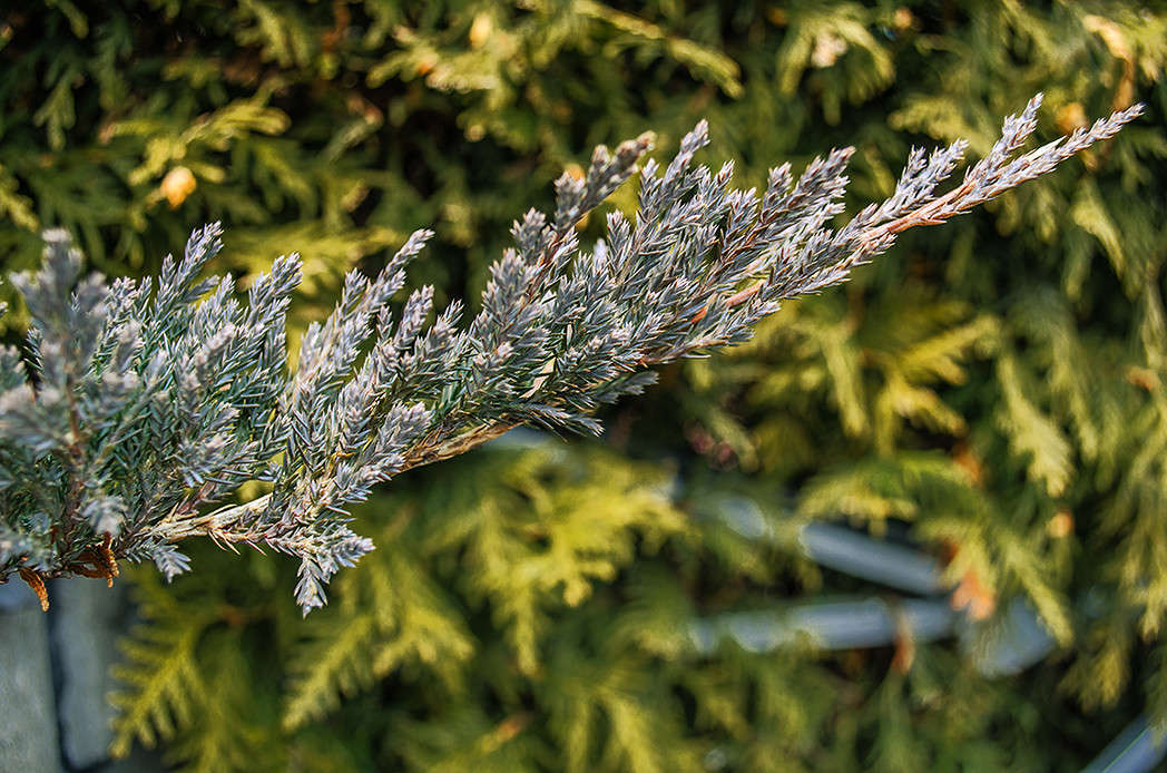 ��������� �������� ? ����� ������ ���������� �� PhotoGeek.ru #������ ��� ������� #���������