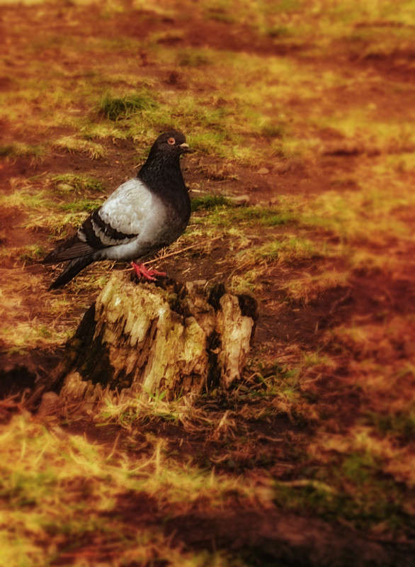 �� �� � ���� �������� ? ����� ������ ���������� �� PhotoGeek.ru #�������� ��� #����� ��� ��� ���������