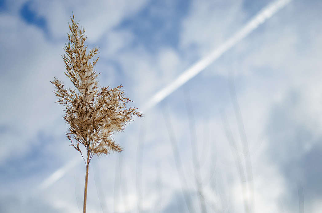 �������� ����� ������ ���������� �� PhotoGeek.ru #������ ��� ������� #���������