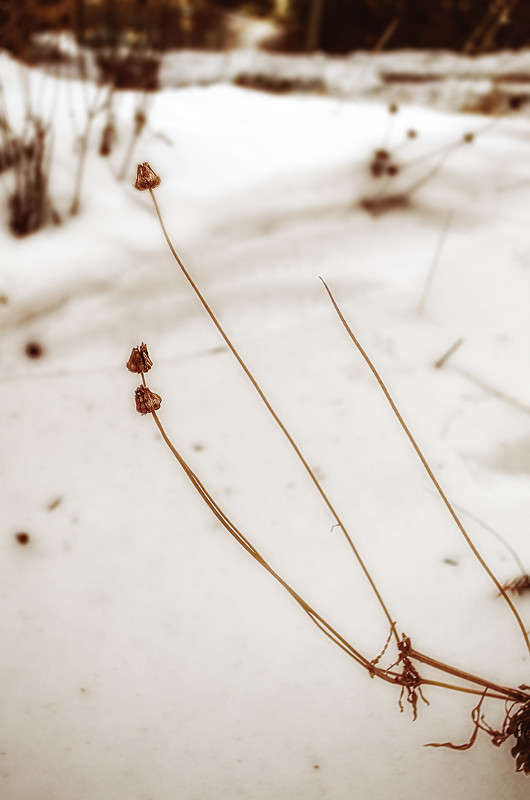 ))))))) ����� ������ ���������� �� PhotoGeek.ru #������ ��� ������� #���������