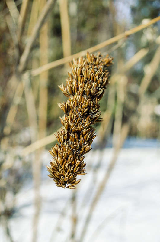 ��� ����� ���� �������� ����� ������ ���������� �� PhotoGeek.ru #������ ��� ������� #���������