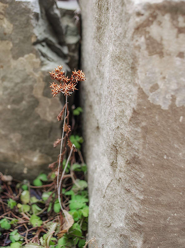 � � ����� ������� ���������..... ����� ������ ���������� �� PhotoGeek.ru #������ ��� ������� #���������