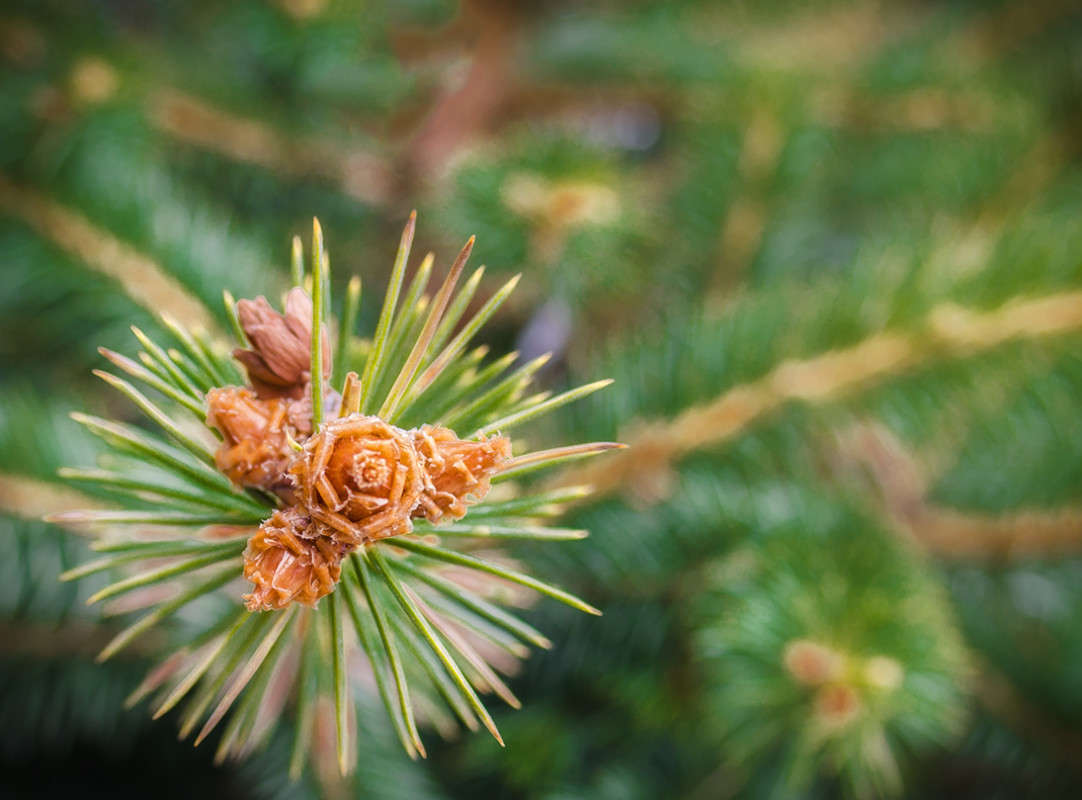 � �������� � ������..... ����� ������ ���������� �� PhotoGeek.ru #������ ��� ������� #���������