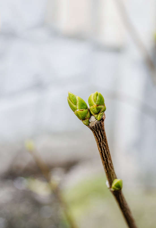 �����.... ���������� ��������.... ����� ������ ���������� �� PhotoGeek.ru #������ ��� ������� #���������