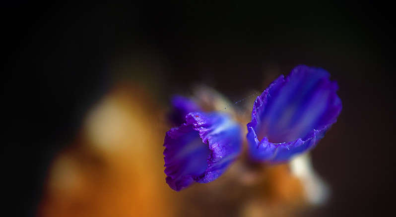 ������� ������� ����� ������ ���������� �� PhotoGeek.ru #������ ��� ������� #���������