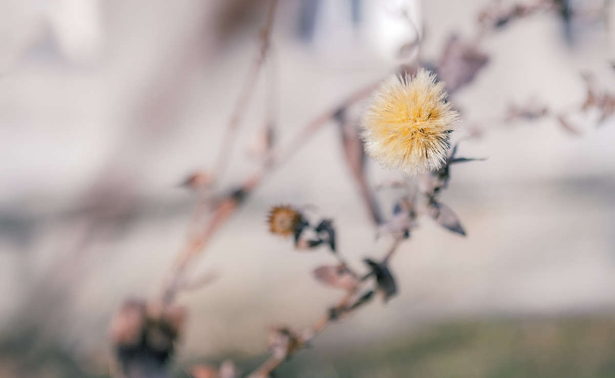 ��������� ����� ������ ���������� �� PhotoGeek.ru #������ ��� ������� #���������