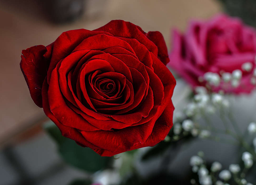 � ������ ���� �����! ����� ������ ���������� �� PhotoGeek.ru #������ ��� ������� #���������