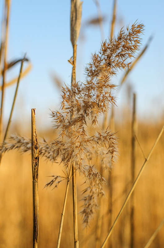 ������� �����........ ����� ������ ���������� �� PhotoGeek.ru #������ ��� ������� #���������