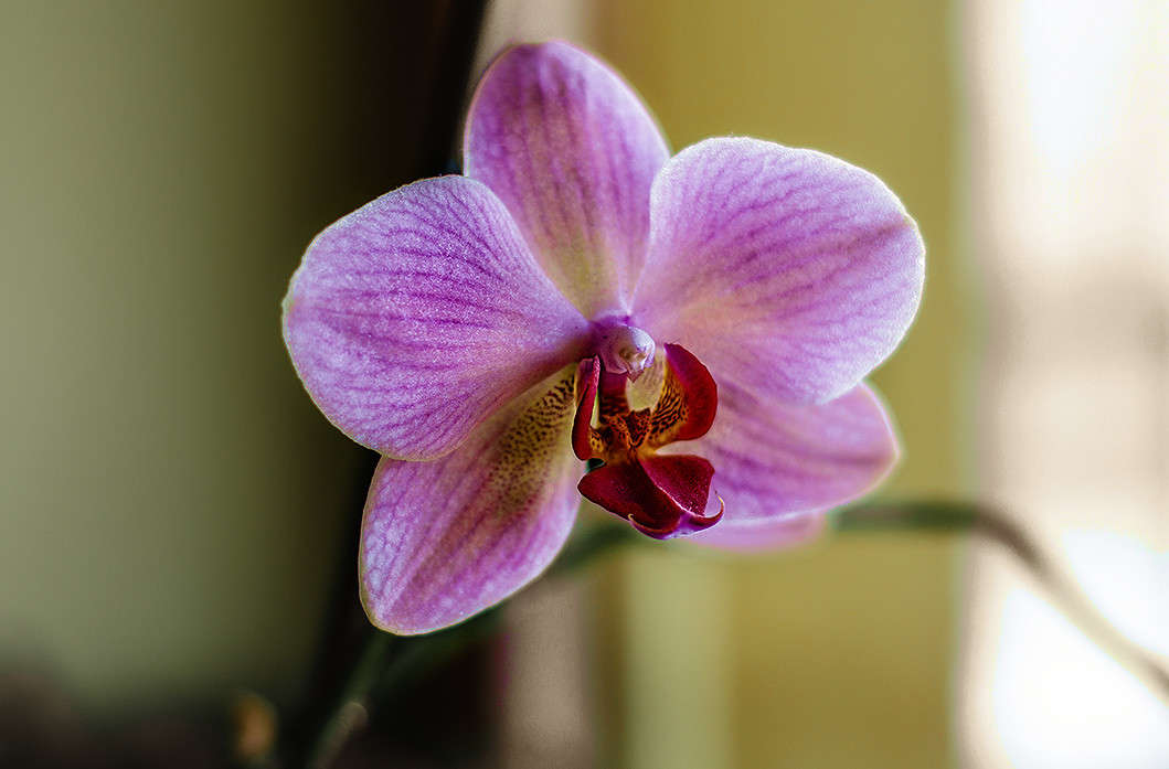 ��������� �� ����� ����..... ����� ������ ���������� �� PhotoGeek.ru #������ ��� ������� #����� ��������������