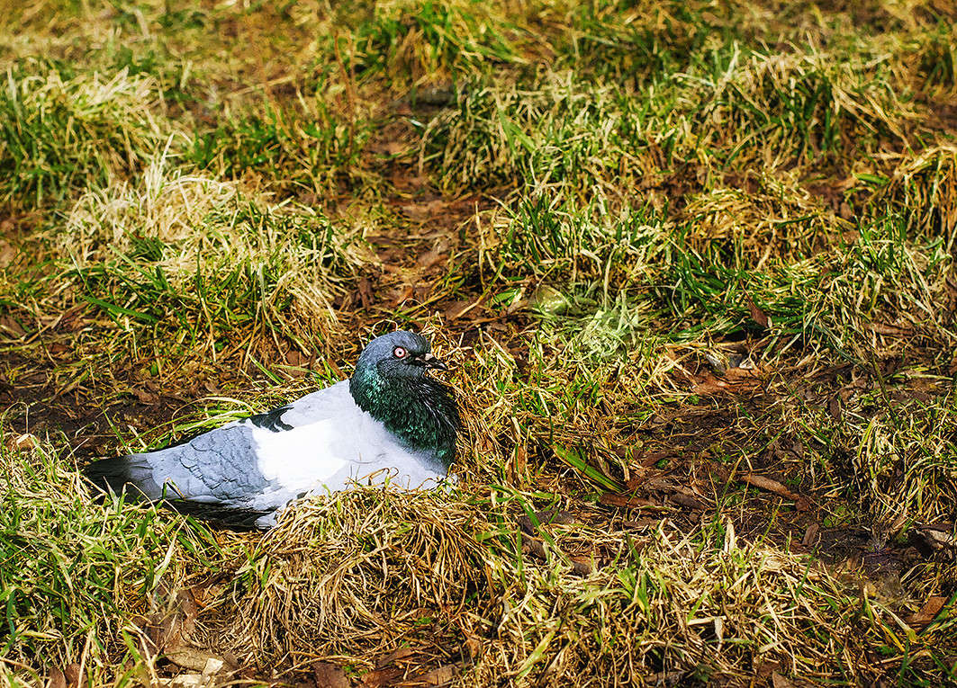 ��������� ����� ����� ������ ���������� �� PhotoGeek.ru #�������� ��� #����� ��� ��� ���������