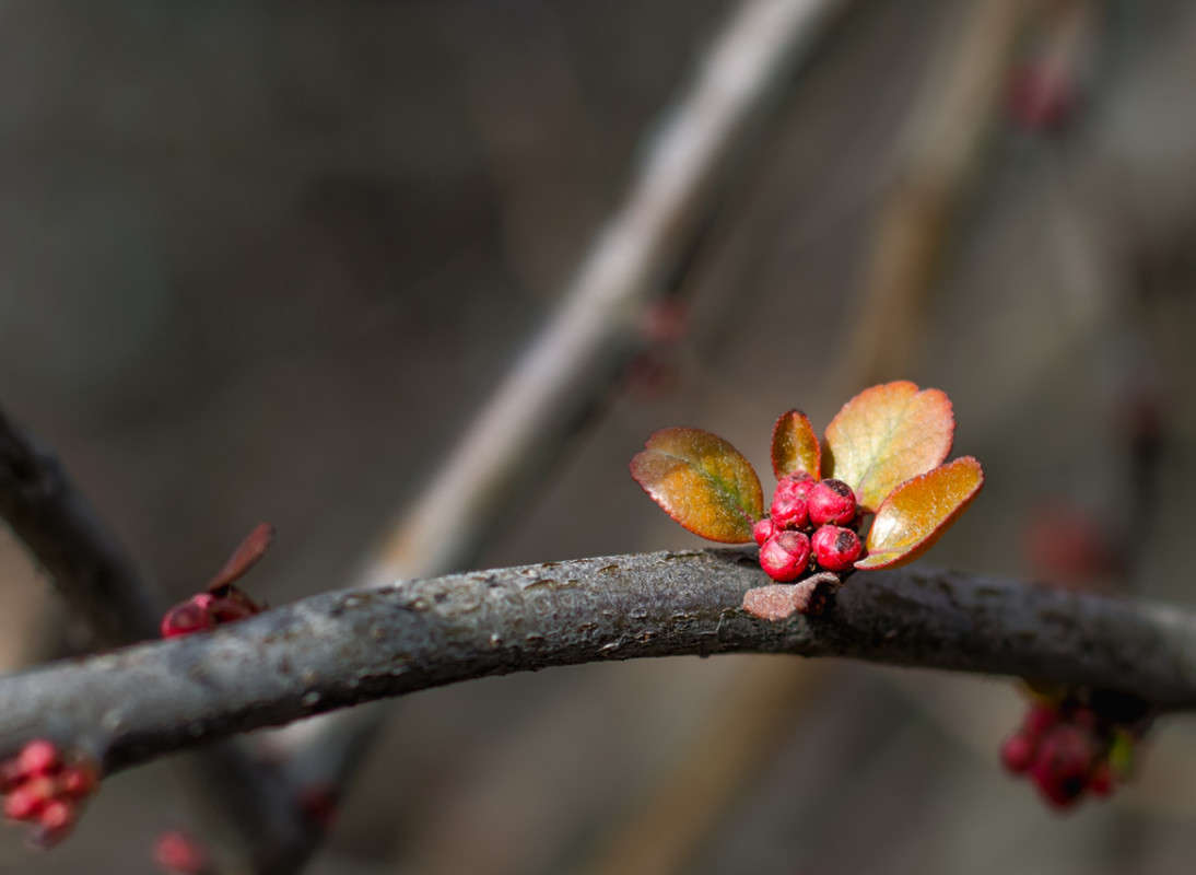 ) ����� ������ ���������� �� PhotoGeek.ru #������ ��� ������� #���������