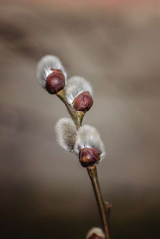 ) ����� ������ ���������� �� PhotoGeek.ru #������ ��� ������� #���������