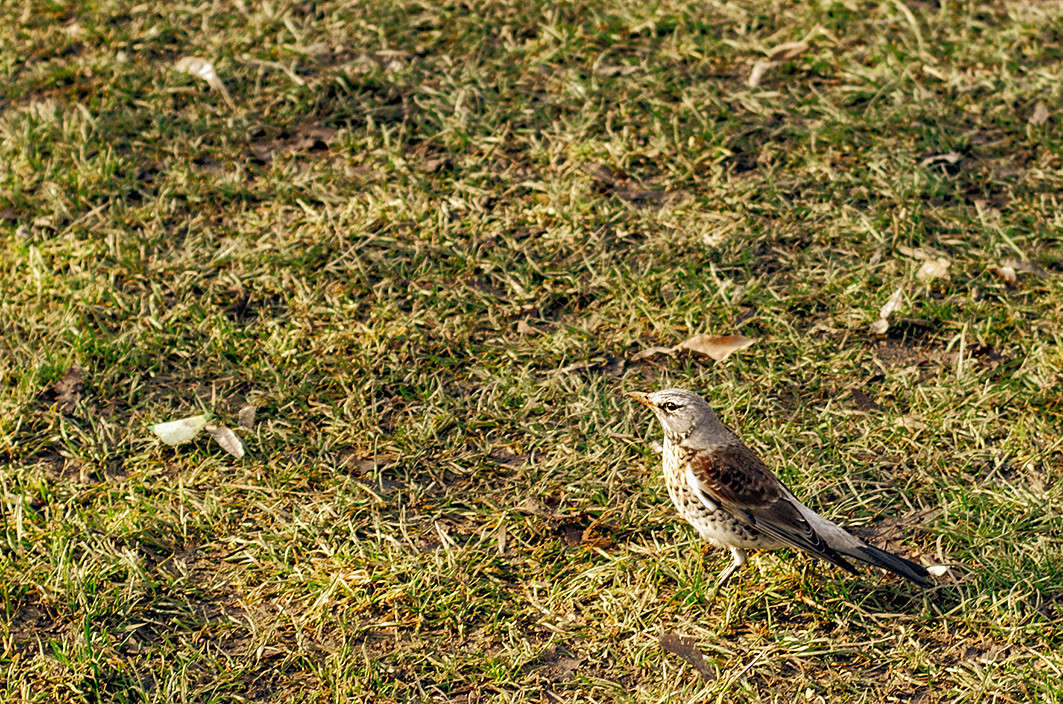 ) ����� ������ ���������� �� PhotoGeek.ru #�������� ��� #����� ��� ��� ���������