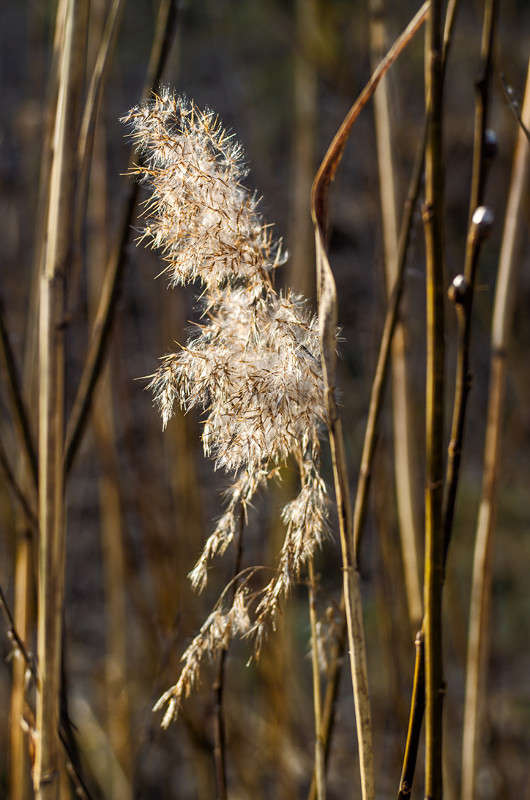 ... ����� ������ ���������� �� PhotoGeek.ru #������ ��� ������� #���������