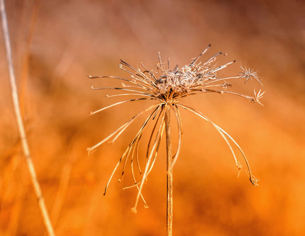 ... ����� ������ ���������� �� PhotoGeek.ru #������ ��� ������� #���������