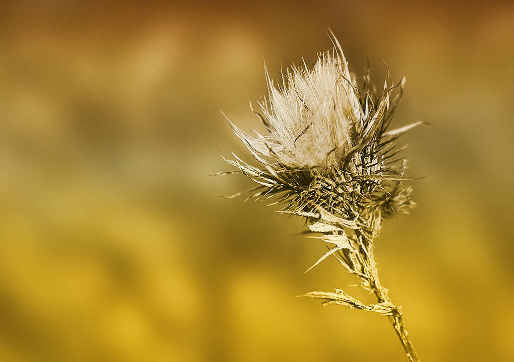 ... ����� ������ ���������� �� PhotoGeek.ru #������ ��� ������� #���������