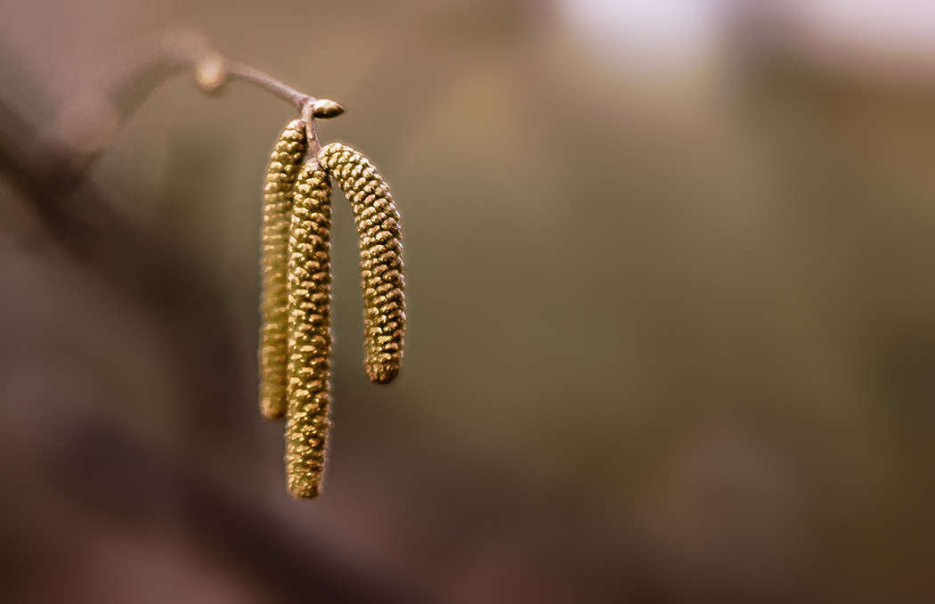 ))))) ����� ������ ���������� �� PhotoGeek.ru #������ ��� ������� #���������