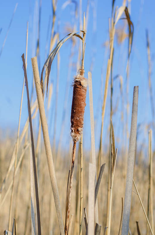 ���� �������.... ����� ������ ���������� �� PhotoGeek.ru #������ ��� ������� #���������