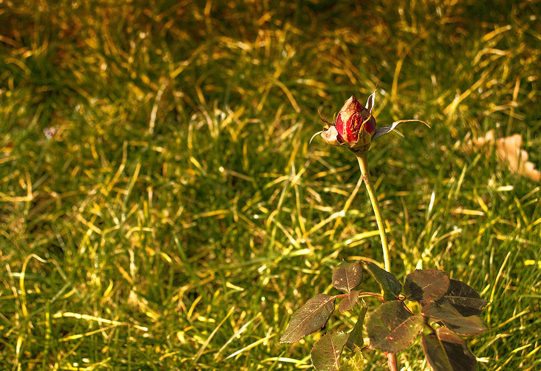 ��������� ���� ����� ������ ���������� �� PhotoGeek.ru #������ ��� ������� #���������