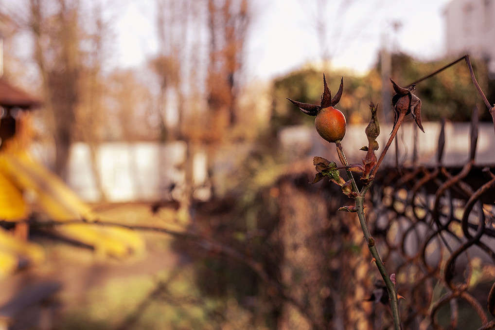 ))))) ����� ������ ���������� �� PhotoGeek.ru #������ ��� ������� #���������