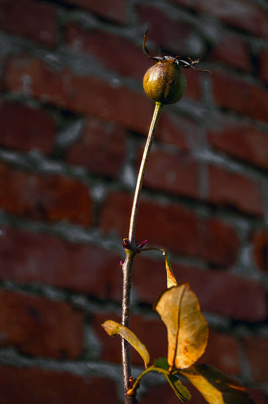 ... ����� ������ ���������� �� PhotoGeek.ru #������ ��� ������� #���������