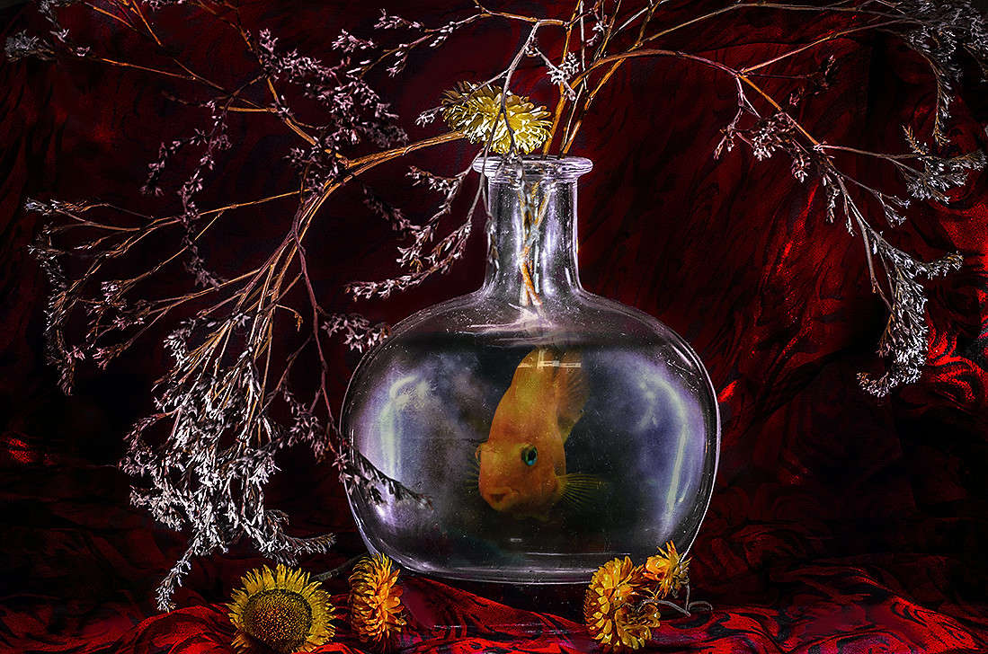 ���������� ��������� ����� ������ ���������� �� PhotoGeek.ru #�������� ���������� #�������������