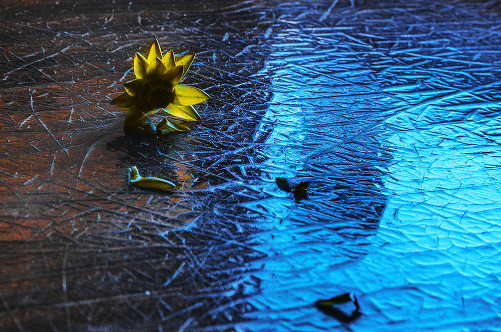 )))))))) ����� ������ ���������� �� PhotoGeek.ru #�������� ���������� #�������������