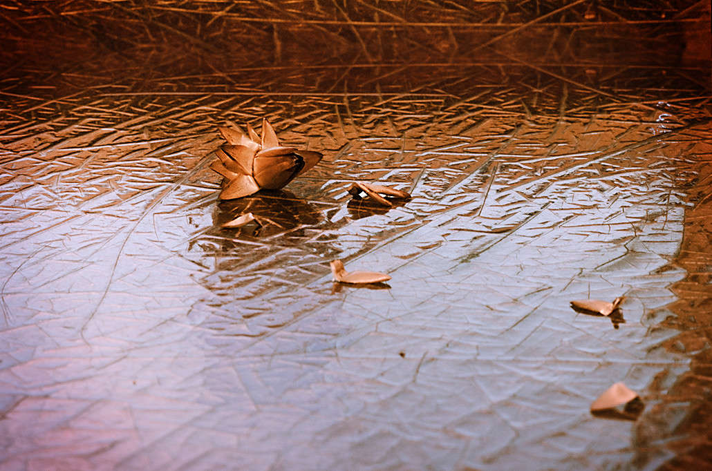 )))) ����� ������ ���������� �� PhotoGeek.ru #�������� ���������� #�������������