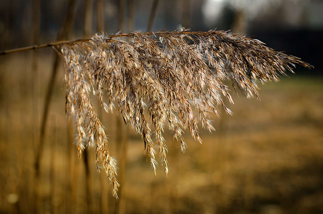 ��������, �������� ����� ������ ���������� �� PhotoGeek.ru #������ ��� ������� #���������