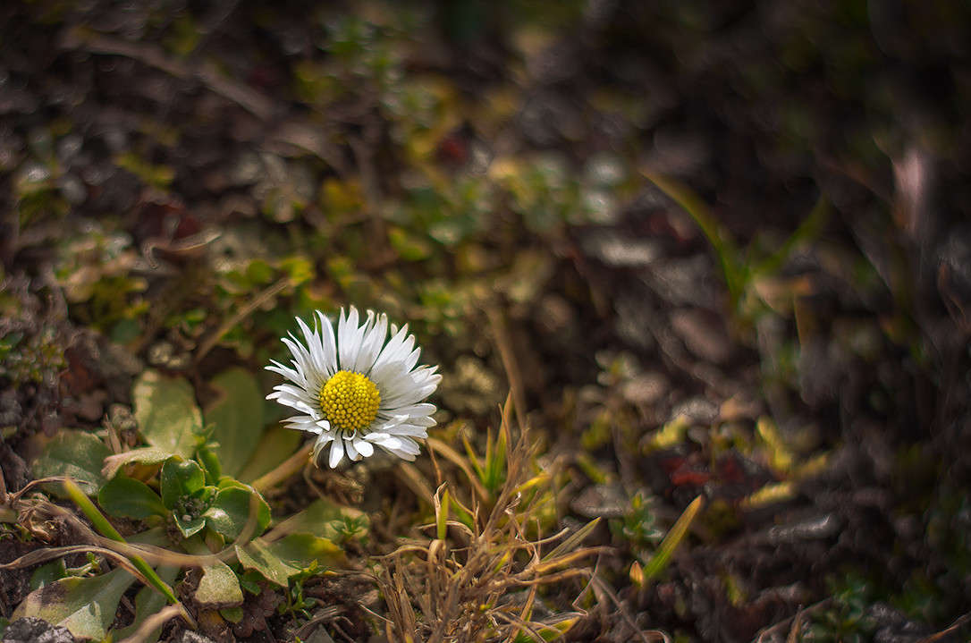 ������ ����������. ����� ������ ���������� �� PhotoGeek.ru #������ ��� ������� #���������