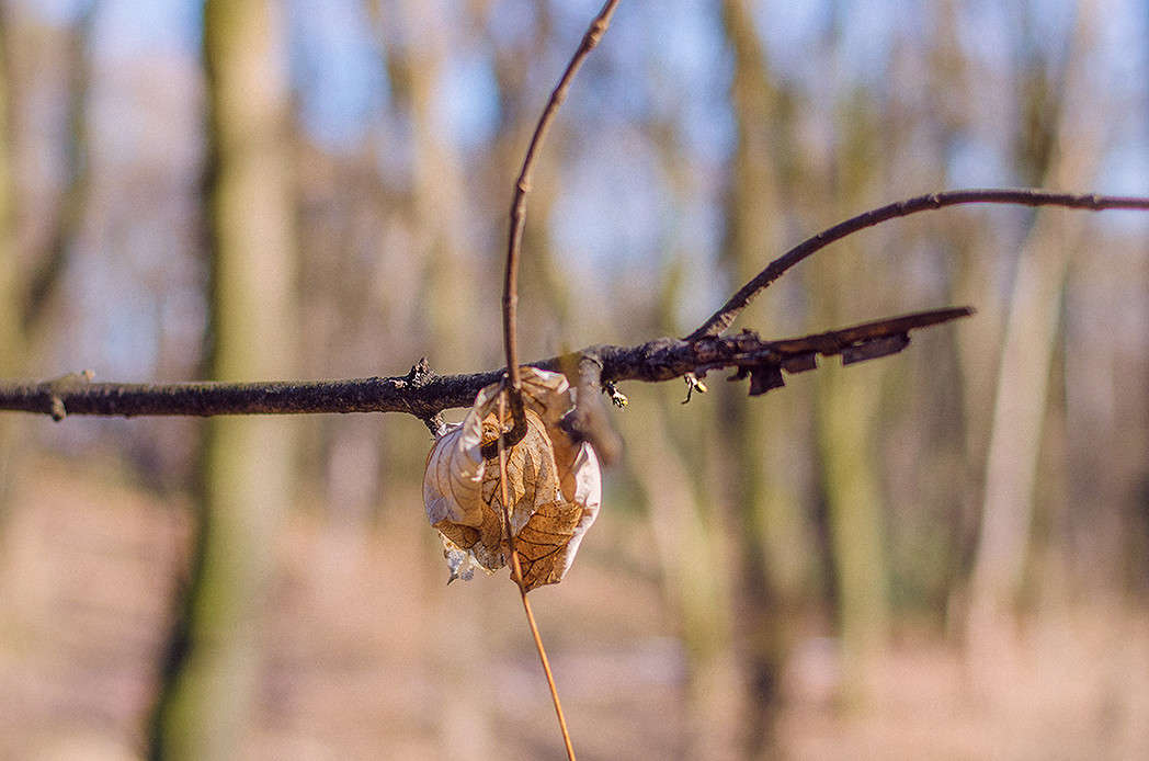 �����.... ���� ������ ��������.... ����� ������ ���������� �� PhotoGeek.ru #������ ��� ������� #���������